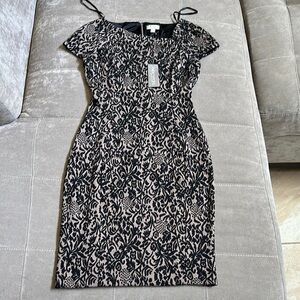 New York & Company Black and Cream Mini Dress